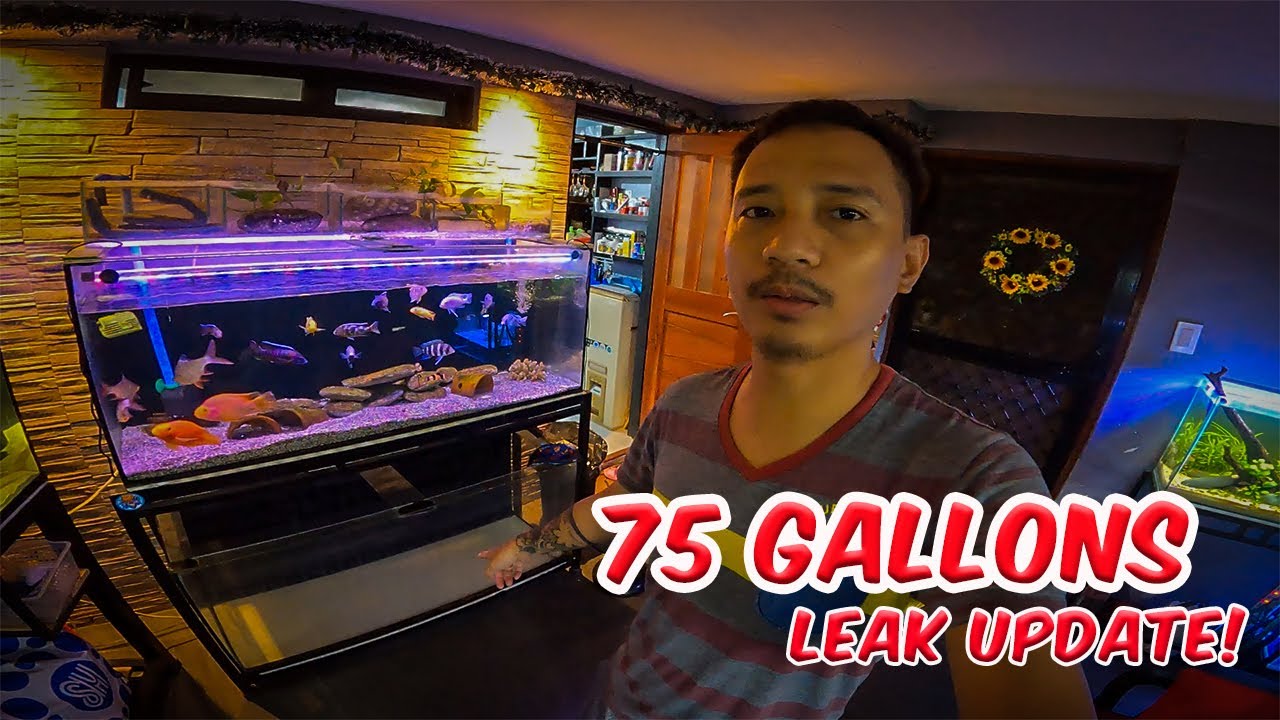 FISH TANK LEAK UPDATE YouTube