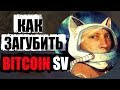 Что ждет Крейга Райта и Bitcoin SV?