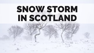 7 Days of Photography in Scotland - Snow Storms &amp; Haunted Trees