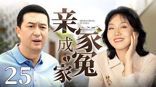【2024闫妮、张嘉译最新年代剧】亲家成冤家 25|一条小巷三个家庭 随着时代的变迁演绎生活的酸甜苦辣