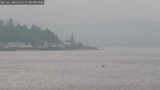 Holy Loch and wildlife  Dunoon Scotland