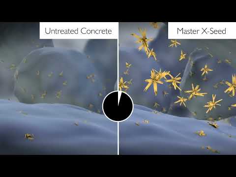 Master X-Seed: Carbon Reduction - video from Master Builders Solutions