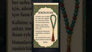 Şükür Etmeyi Unutan Kaybeder Şükür Duası