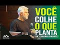 Pr  Claudio Duarte  | Você Colhe O Que Planta