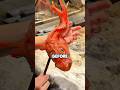 This Traditional Japanese Robatayaki Grilling Style Is Mesmerizing!! #shorts