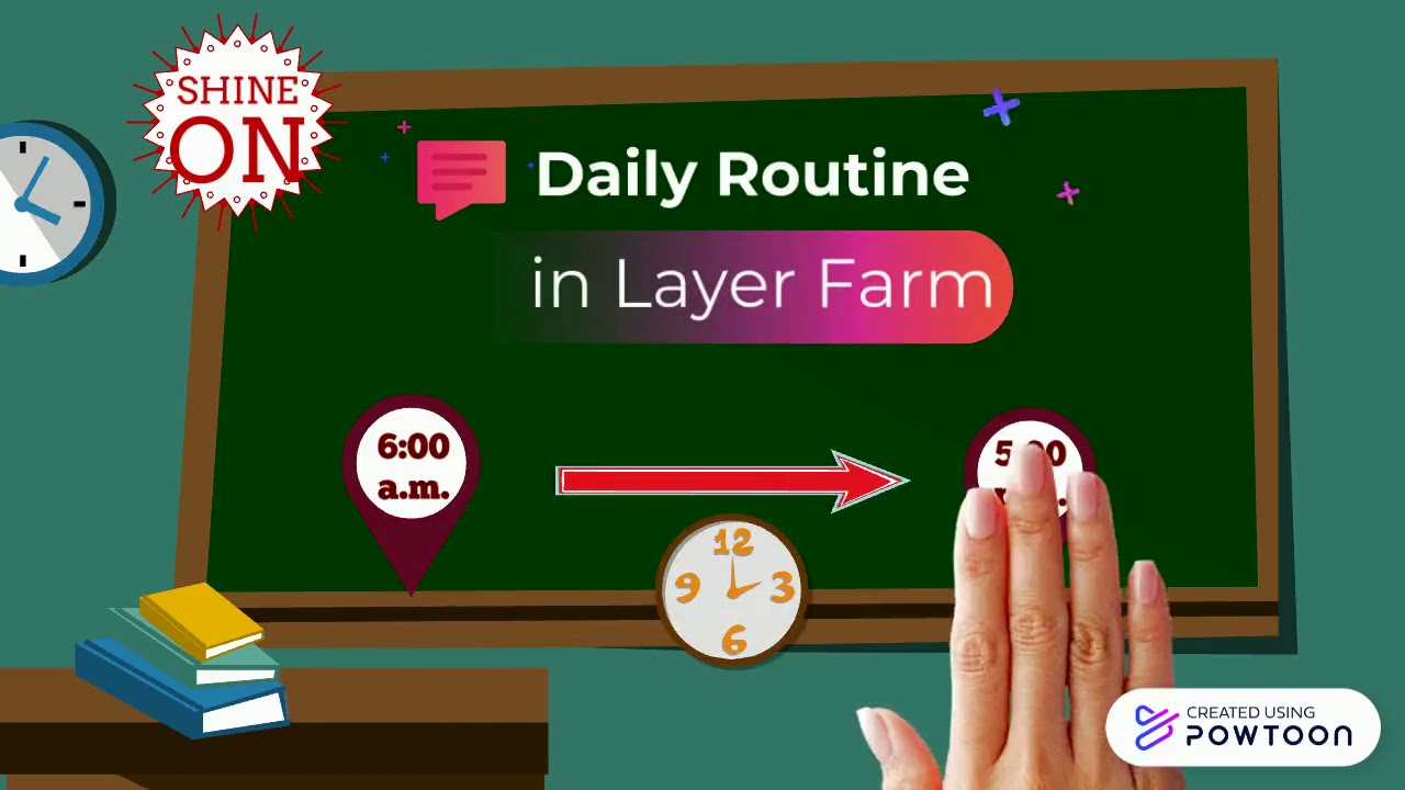 Animal Practice in Japan 2 - YouTube