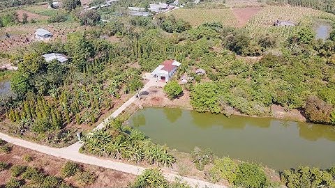 Chủ bán vườn trái cây, có nhà cấp 4, ao cá, 300m2 thổ, sát lộ nhựa, sông ray cẩm mỹ