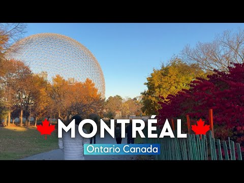 فيديو: جولة سيرا على الأقدام في حي مونتريال تشايناتاون