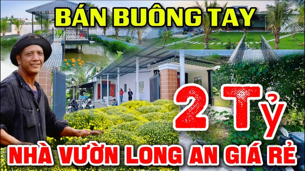 Tập 285 NHÀ VƯỜN NGỘP LONG AN | View Sông Nhỏ Nhà Dân Bán 2 Tỷ Giá Full Còn Thương Lượng 