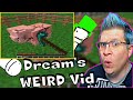 Dream's 1st Minecraft Video REACTION! Reacting to "this cursed Minecraft video will trigger you"...