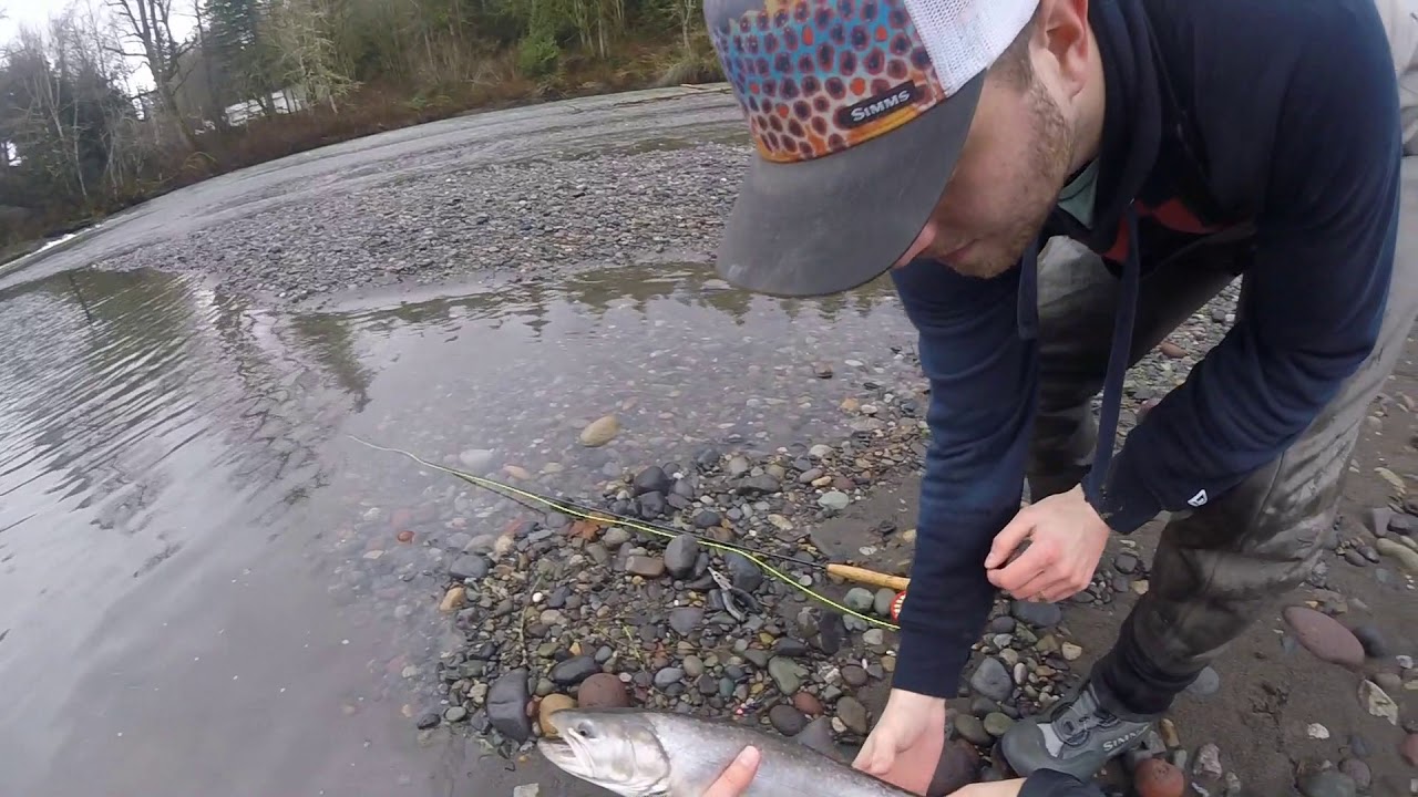 Northfork Nooksack Steelheading YouTube