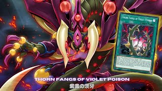 Download Lagu 14900 DAMAGE !! Thorn Fangs of Violet Poison DECK NEW CARD -  YUGIOH MP3