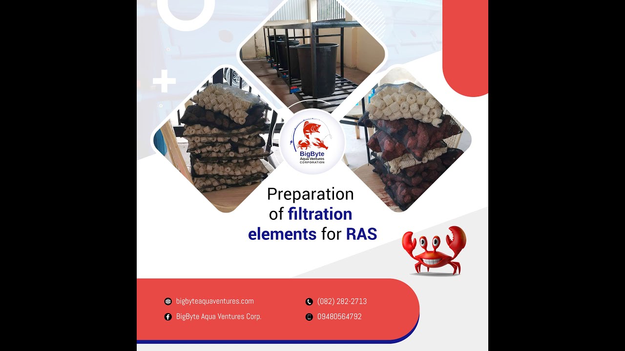 Packing of Filtration Elements for RAS (Recirculating Aquaculture ...