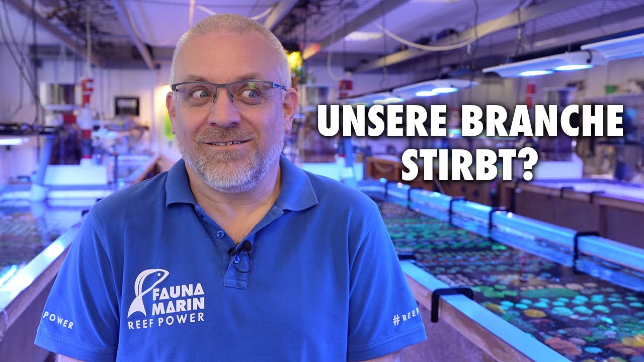 Wie soll es weitergehen? - Claude über die Branche der Meerwasseraquaristik