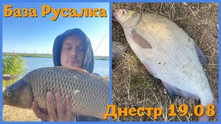 видео: Рыбалка на реке Днестр в августе. База Русалка, Маяки. Рыбалка на макушатники и отдых на природе картинка: Рыбалка на реке Днестр в августе. База Русалка, Маяки. Рыбалка на макушатники и отдых на природе