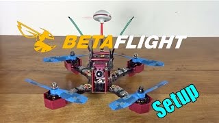 JJRC JJPRO P200 Initial Setup and Maiden Flight : Stock Beginner Config