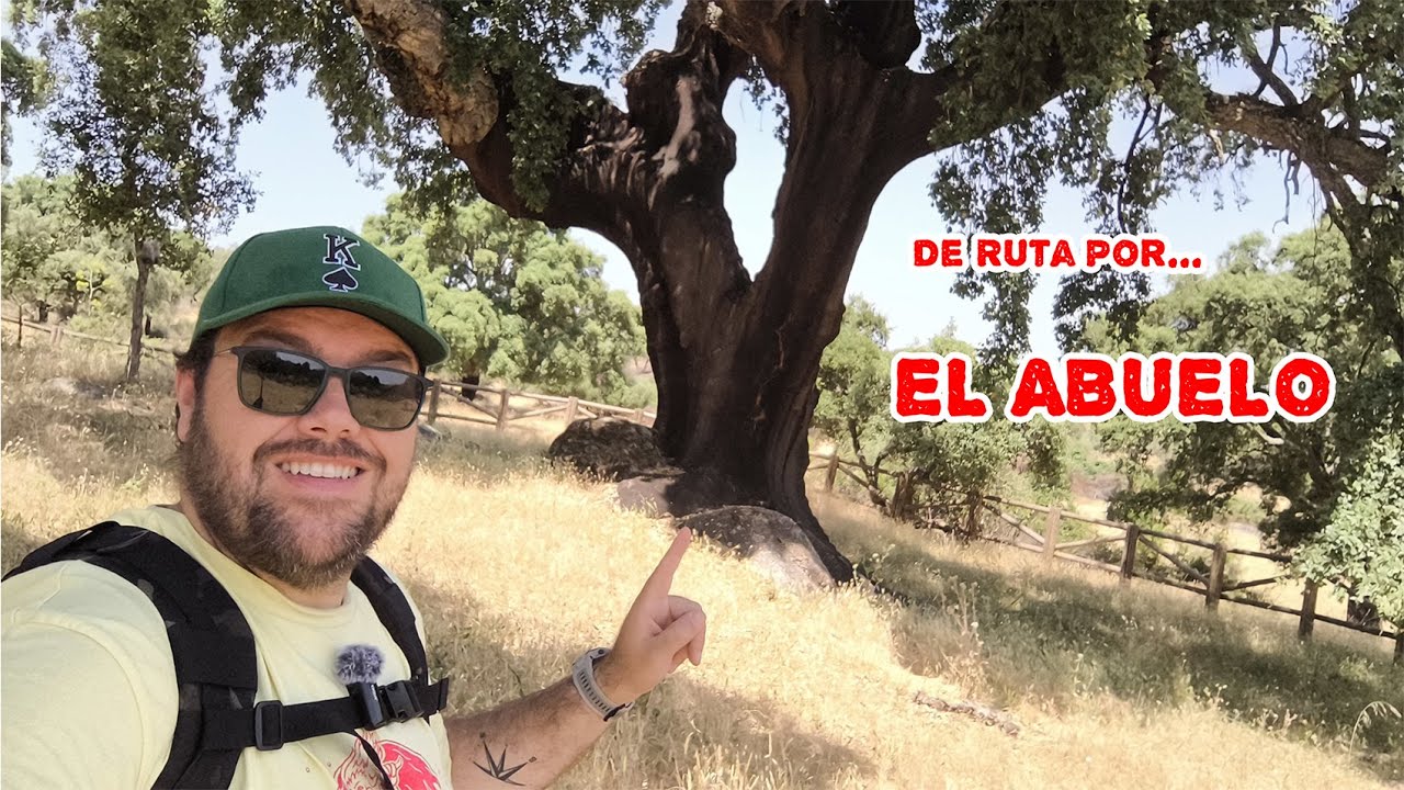 🌳 Este Árbol de Más de 500 Años en Alburquerque Sorprende a Todo el que lo Ve