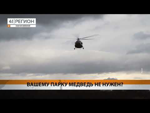 МЕДВЕЖОНКА С БАЗЫ ВАХТОВИКОВ НЕ МОГУТ ЗАБРАТЬ ИЗ-ЗА НЕПОГОДЫ • НОВОСТИ КАМЧАТКИ