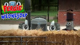 Wednesday With Fergie Little Grey Fergie Zeekay Junior