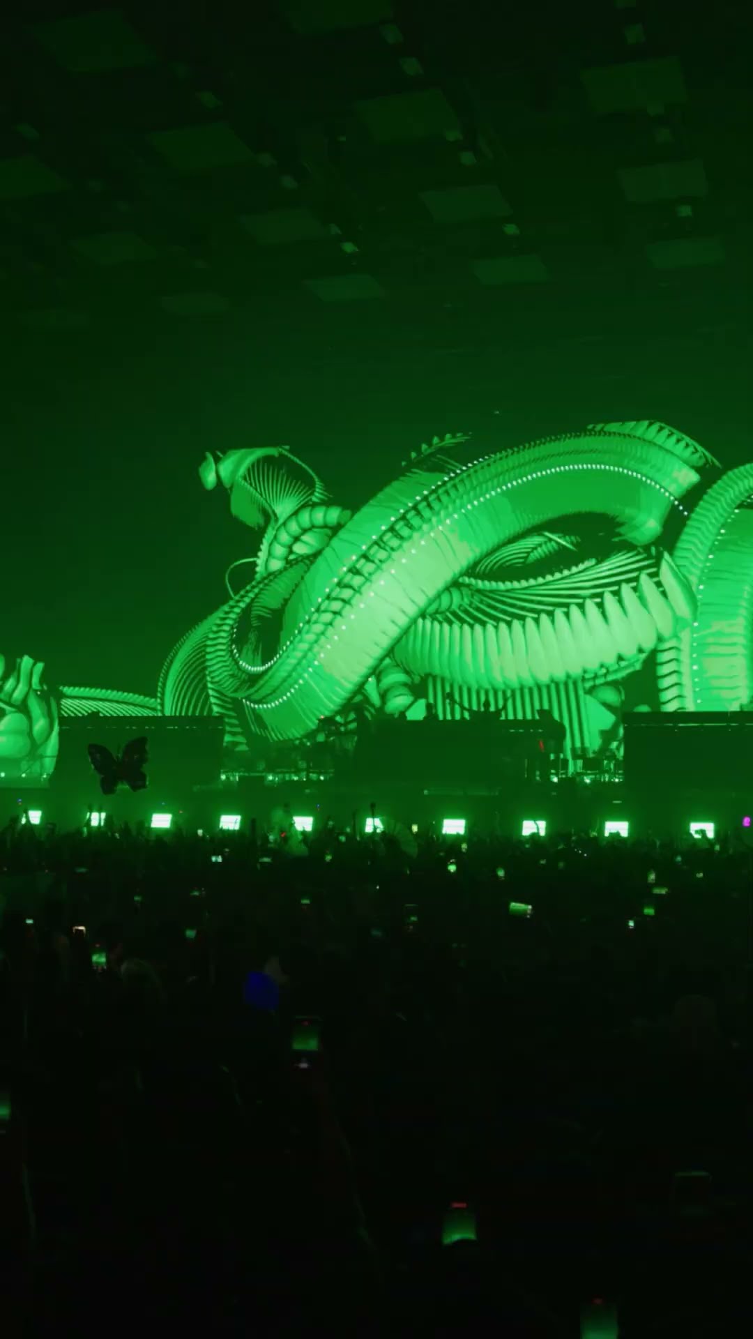 TOMORROWLAND ♡ 3 at ‪@tomorrowland‬ was insane #tomorrowland - YouTube