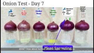 Healhy Water From Clears Filter Water Pitcher Show ? Healthy Water From Clear Filter Water Pitcher Show