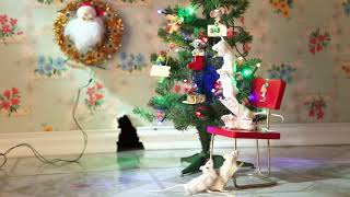 Here Comes Santa Claus by The California Beach Boys screenshot 5