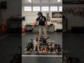 Playful German shepherd puppies being trained for k9 #germanshepherd #puppy #dog #dogtraining #fyp