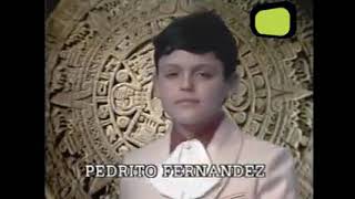 MI SALÓN ESTÁ DE FIESTA: PEDRITO FERNÁNDEZ