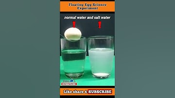 Eggs & Salt Water - Water Density Science Experiment #shorts #views #trending #easy #viralshorts