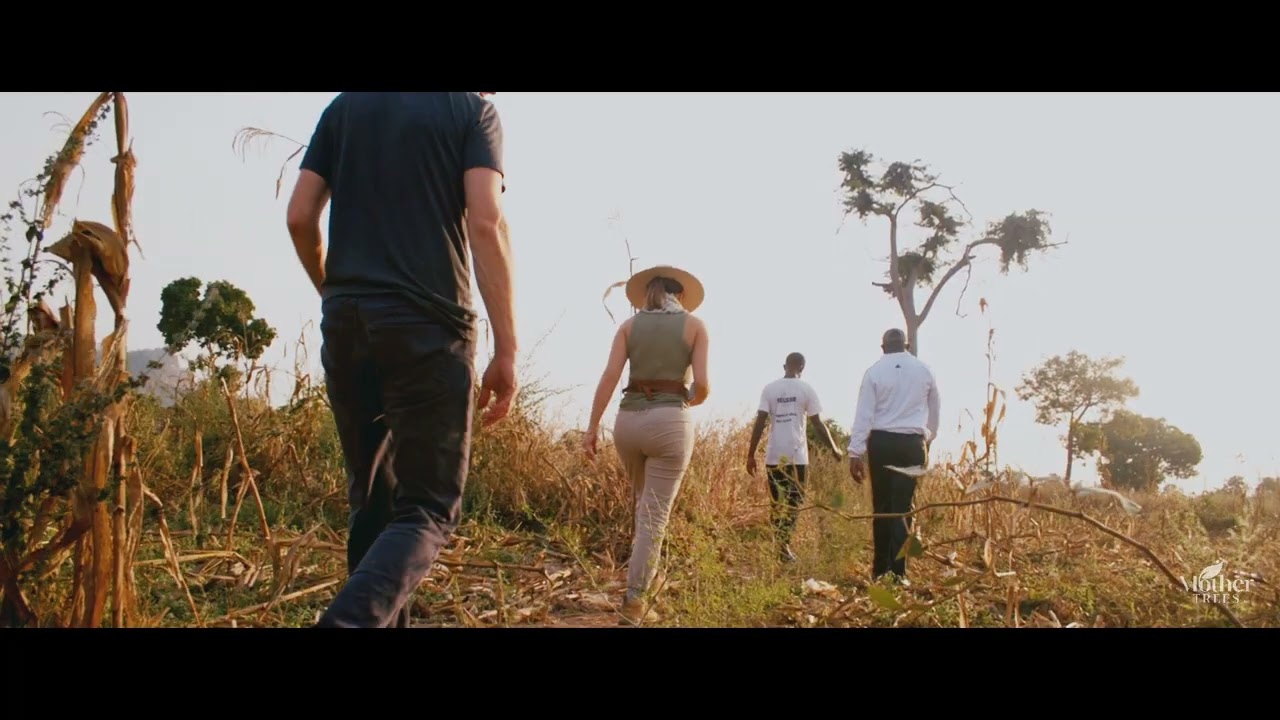 Mother Trees restores ecosystems and offers a pathway out of poverty for farmers