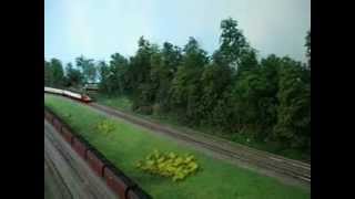 TEE Ram 3.avi