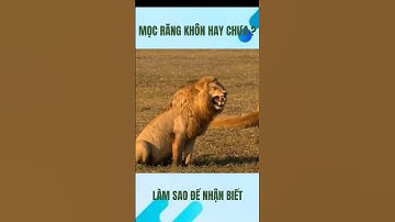 Làm thế nào để nhận biết mình mọc răng khôn hay chưa ? #shorts #rangkhon #drcuong