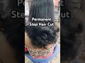 Permanent Step Hair Cut ✂️ | Volume &amp; Shape Result 😍 #shorts#youtubeshorts#haircut