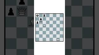 The Real Beginner's Guide to Chess #86
