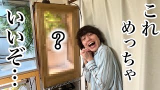 The cage made by a chameleon professional is amazing! - YouTube