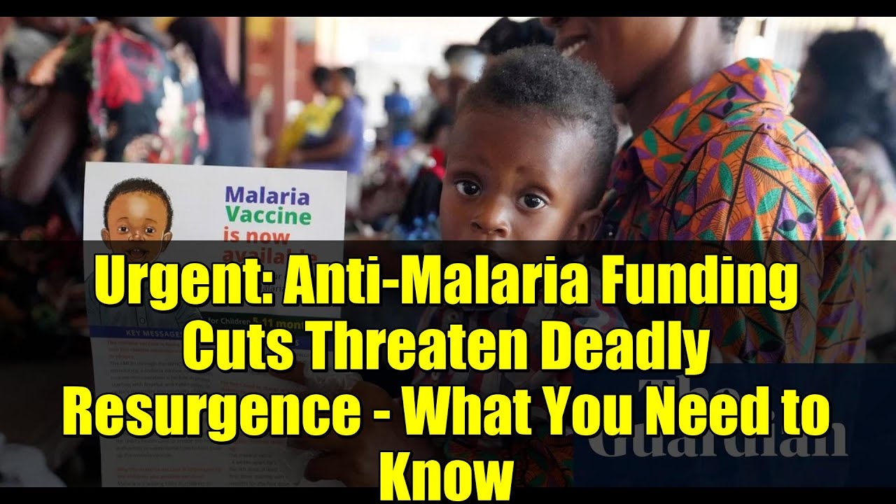 Urgent: Anti-Malaria Funding Cuts Threaten Deadly Resurgence - What You Need to Know