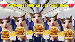 Cat Memes Family Vacation Compilation To Poland + Extra Scenes