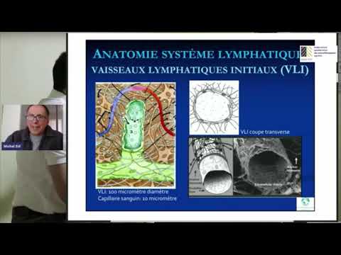 Le système lymphatique et ses fonctions immunitaires - Capsule de formation en massothérapie