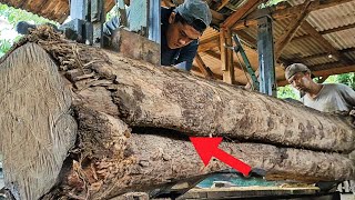 Famous shocking discovery of hell hole while sawing teak logs at sawmill Net Worth
