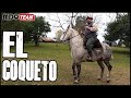 El Coqueto