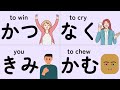 N4 Vocabulary Ultimate JLPT Test - How Many Words Do You Know?