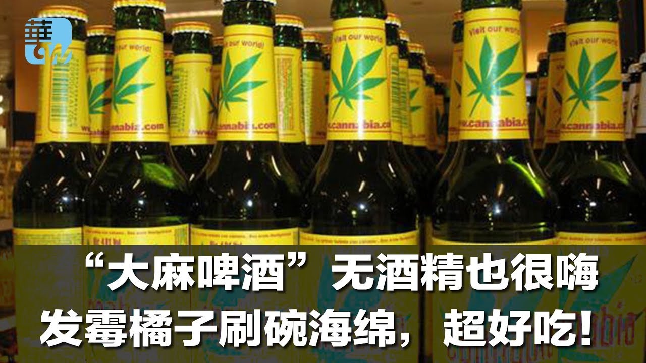 加拿大“大麻啤酒无酒精也很嗨,发霉橘子刷碗海绵,超好吃!(《生活在海外》美食2018年8月27日) - YouTube