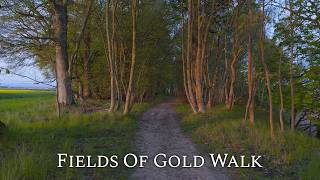 Walk through Fields of Gold, as Sun Sets in Scotland | 4K Calming Walk