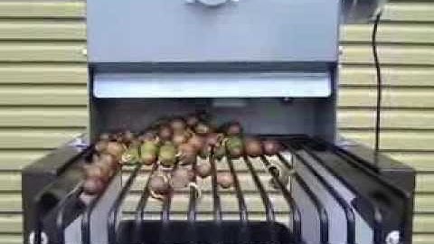 CRACKADAMIA Macadamia nut Cracker and De Husker