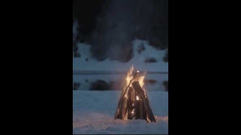 Fire Live Wallpaper Video