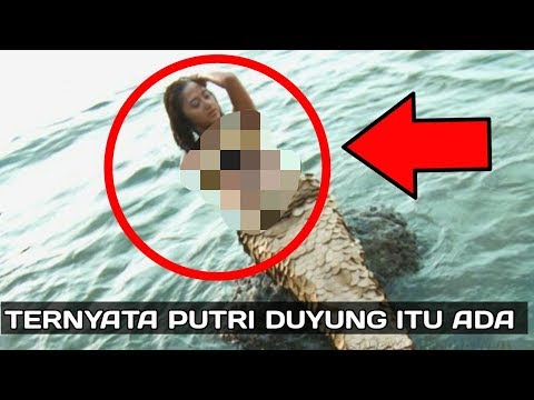 Ini Wujud Ikan Duyung Yang Sebenarnya  Doovi