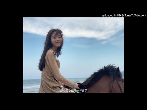夜猫 - 张蔷