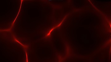 Back To Basics Ep 1 Francisco & Malcolm