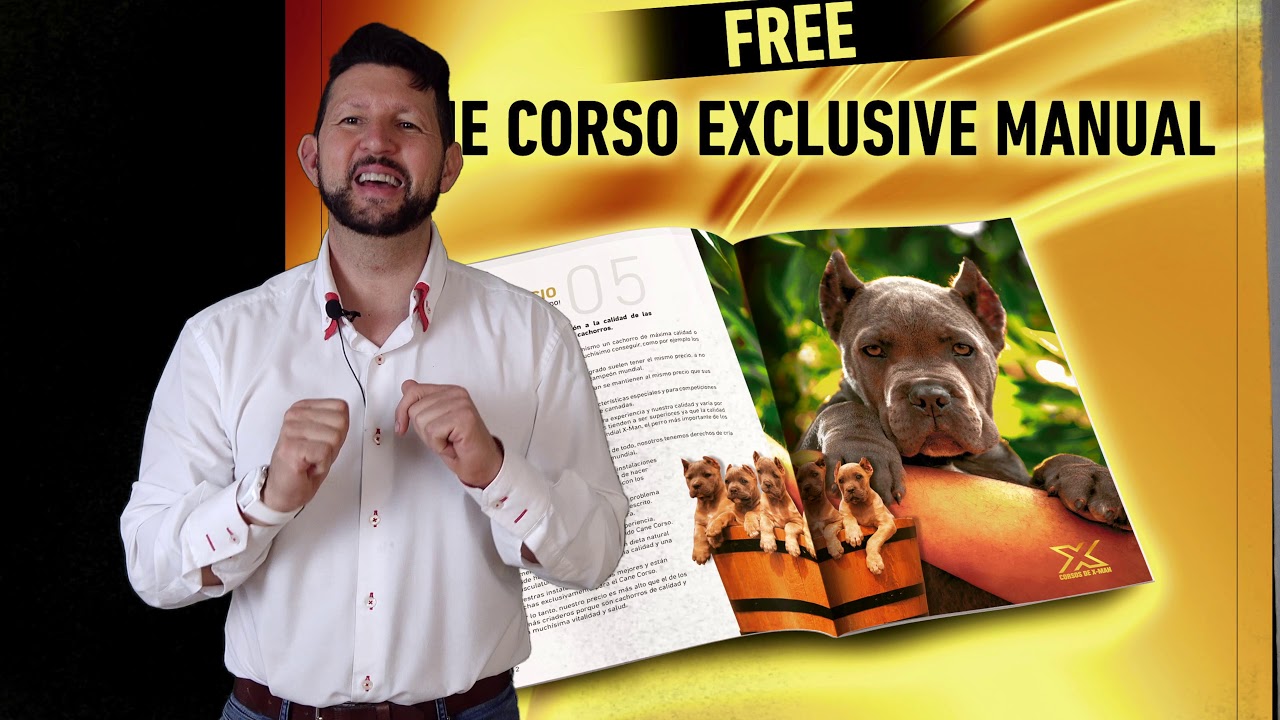 GRATIS/// EL MANUAL DEL CANE CORSO GUÍA COMPLETA YouTube