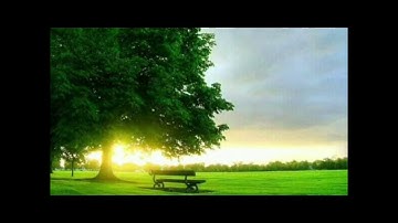 سورة الإخلاص مكررة 100 مرة ،بصوت القارئ ماهر المعيقلي.